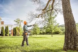 Leaf Removal in Mccullom Lake, IL